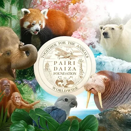 Maison Cosy Avec Terrasse Et Jardin - Aéroport Gare Charleroi